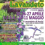Primavera-al-Lavandeto-Assisi