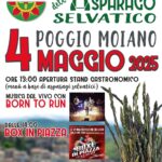 Sagra-Asparago-Selvatico-Poggio-Moiano