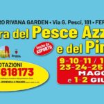 Sagra-del-Pesce-Azzurro-e-del-Pinzino-Ferrara