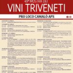 Vini-Triveneti-Camalò