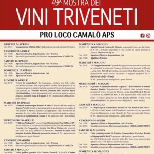 Vini-Triveneti-Camalò