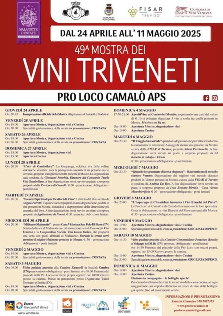 Vini-Triveneti-Camalò
