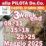 Festa-del-Riso-Castel-D'Ario