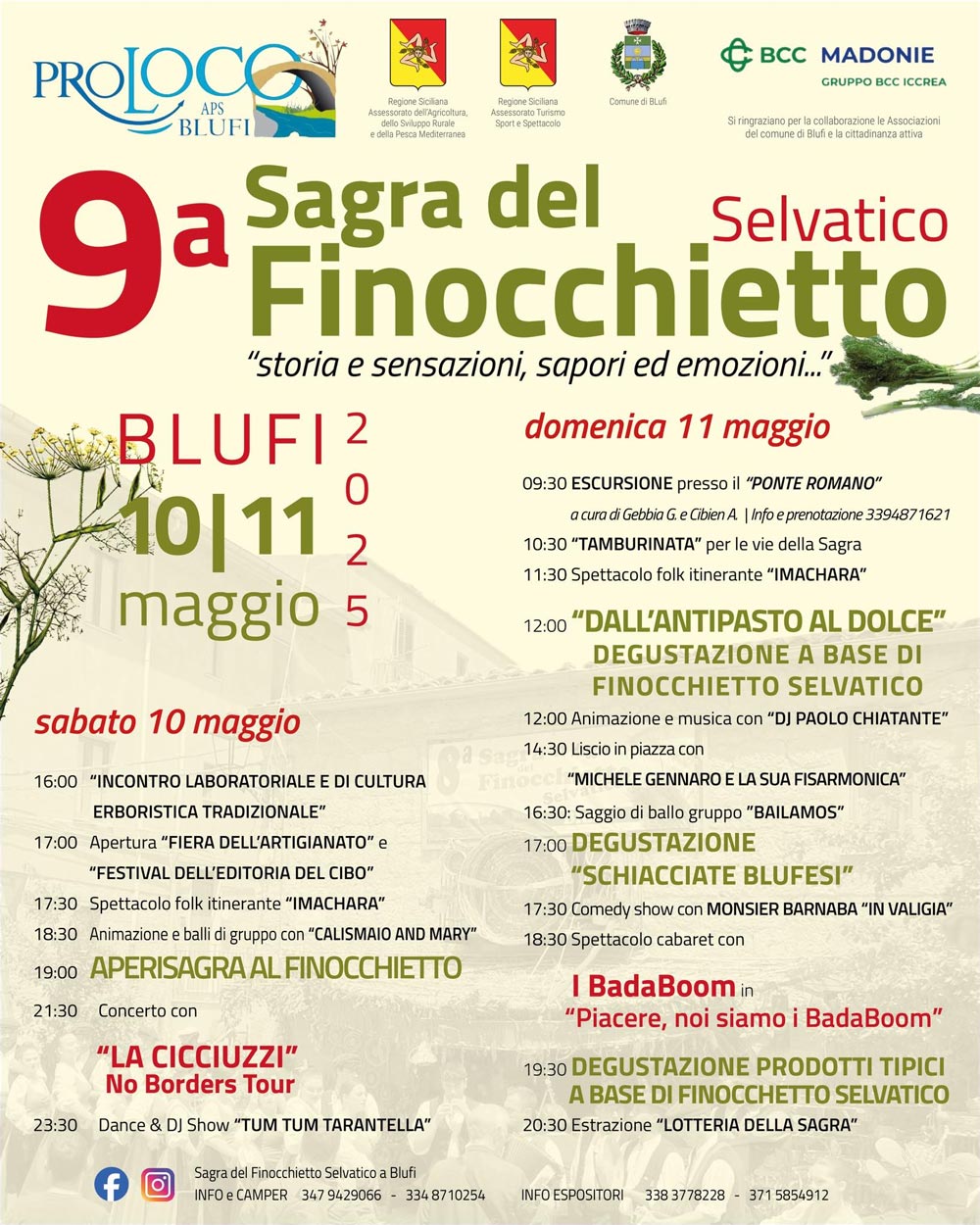Sagra-Finocchietto-Selvatico-Blufi