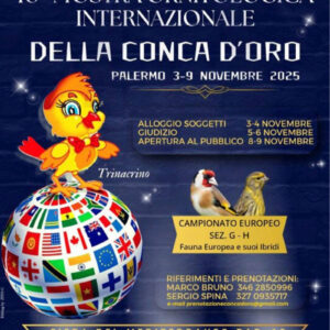 Mostra Ornitologica Conca d'Oro Palermo