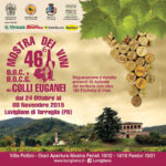 Mostra dei Vini Luvigliano