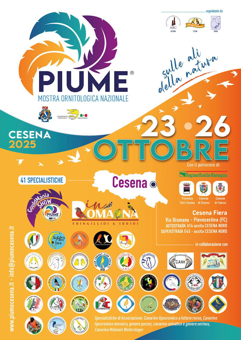 Piume Mostra Ornitologica Nazionale Cesena
